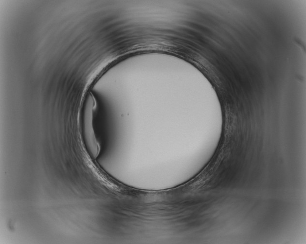 X0000099440796200806061042