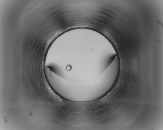 X0000099440797200806061042