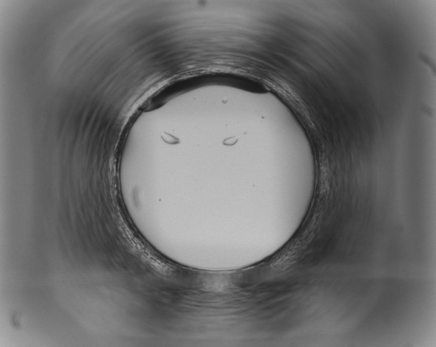 X0000099440798200806061042