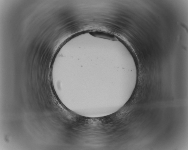 X0000099440799200806061042