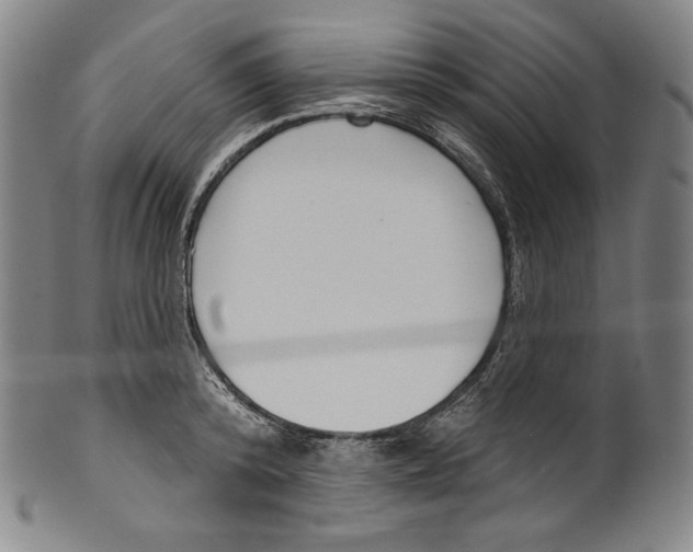 X0000099440800200806061042