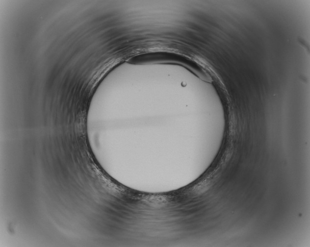 X0000099440801200806061042