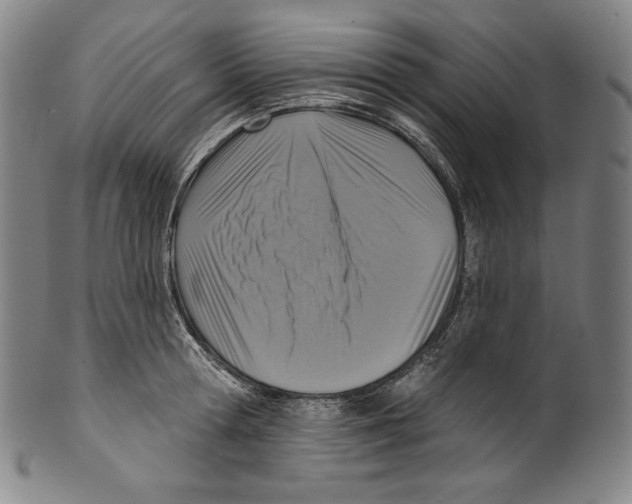 X0000099440802200806061042