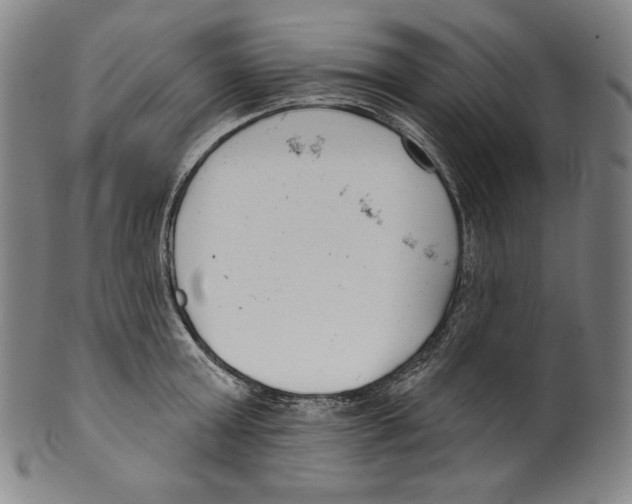 X0000099440803200806061042