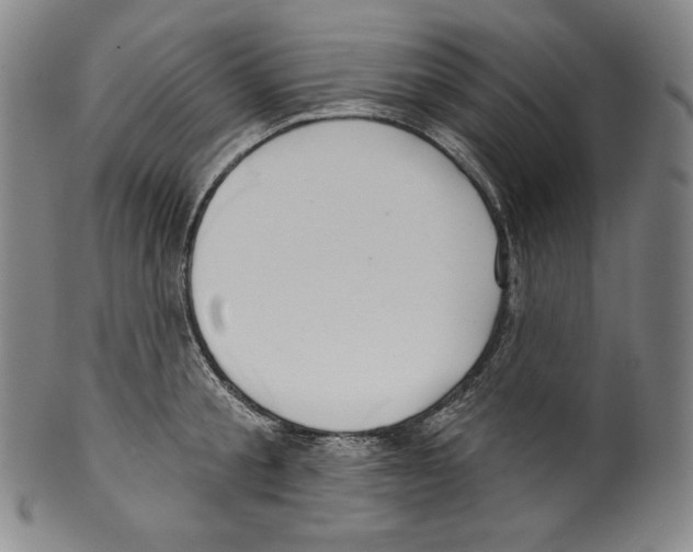 X0000099440805200806061042