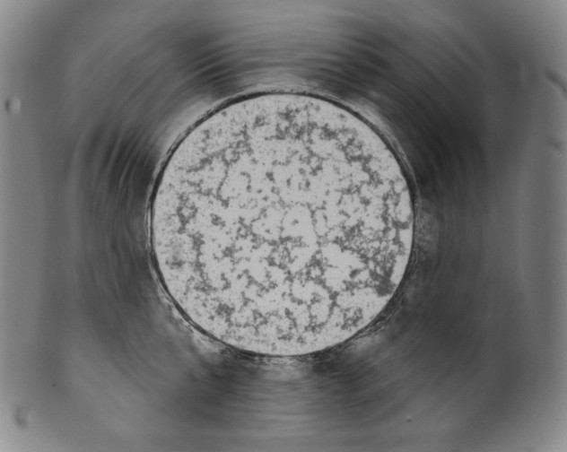 X0000099440807200806061042