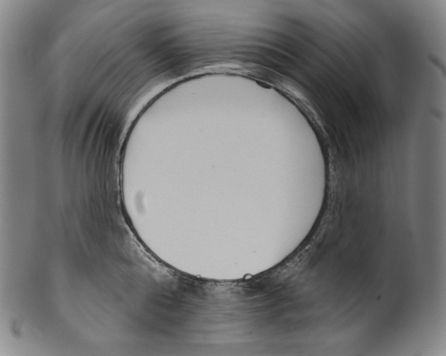 X0000099440808200806061042