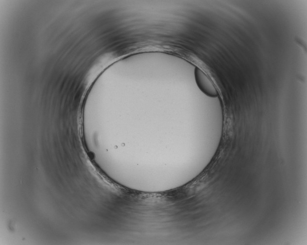 X0000099440811200806061042