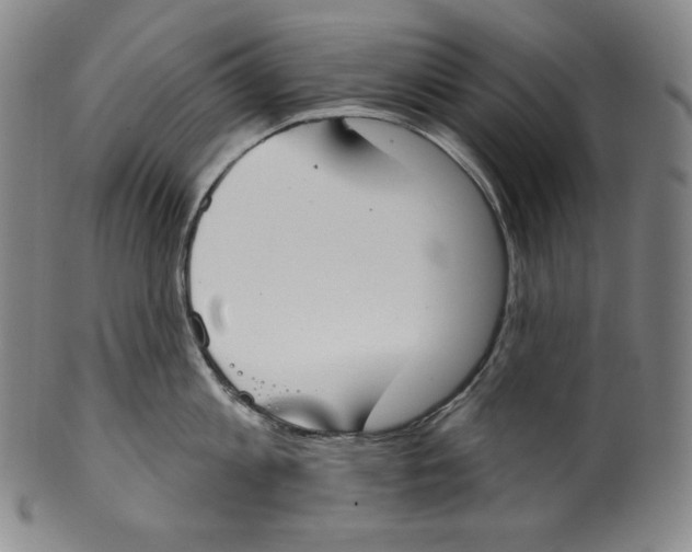 X0000099440813200806061042