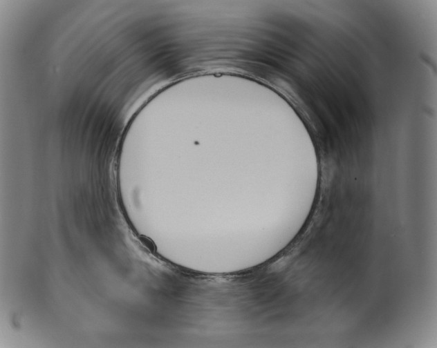 X0000099440814200806061042