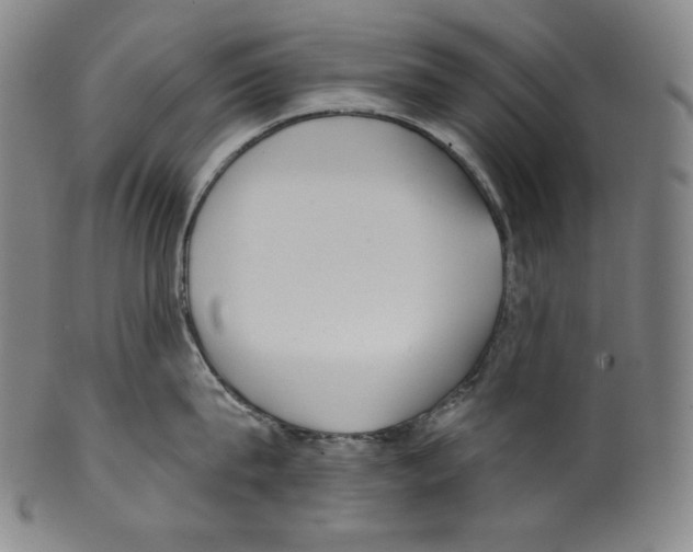 X0000099440815200806061042