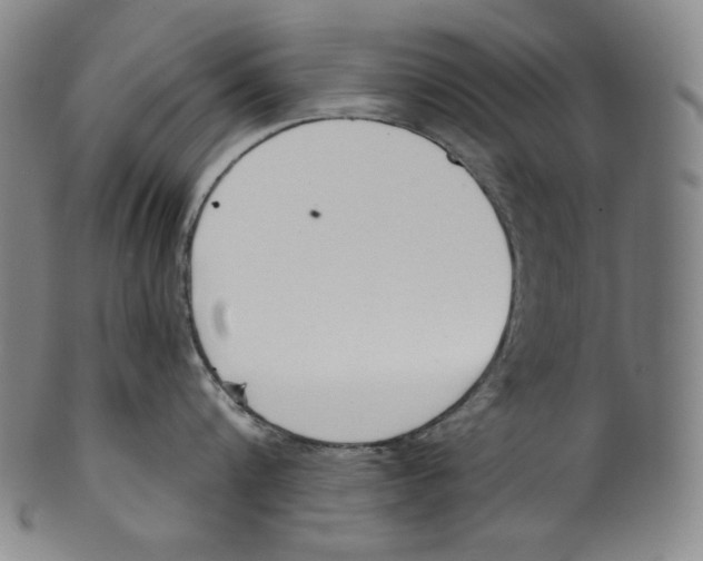 X0000099440816200806061042