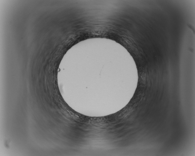 X0000099440817200806061041