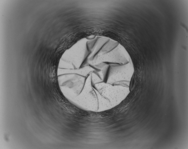 X0000099440818200806061041