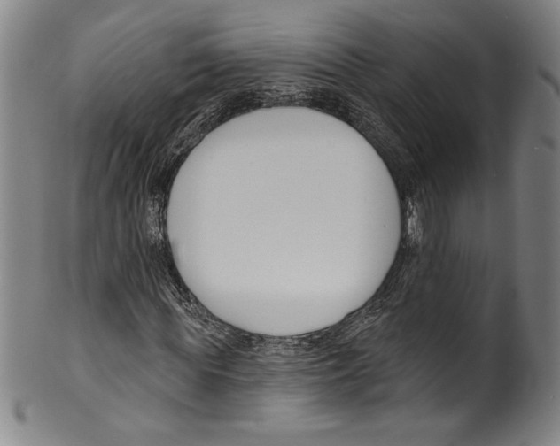 X0000099440819200806061041