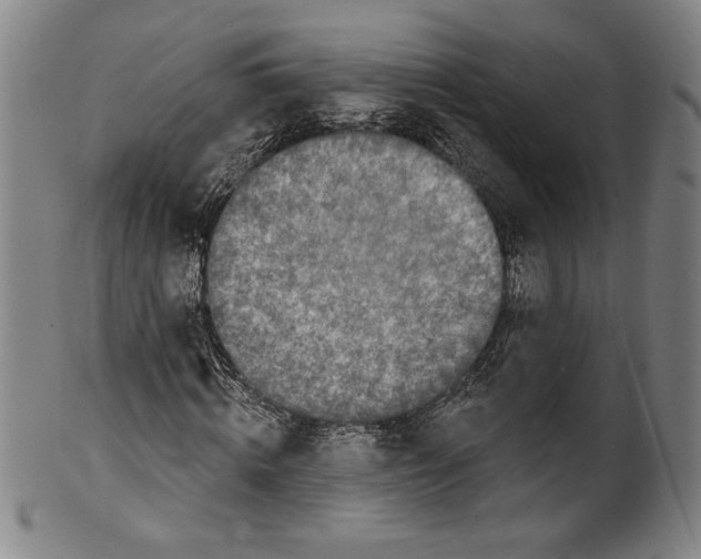 X0000099440820200806061041