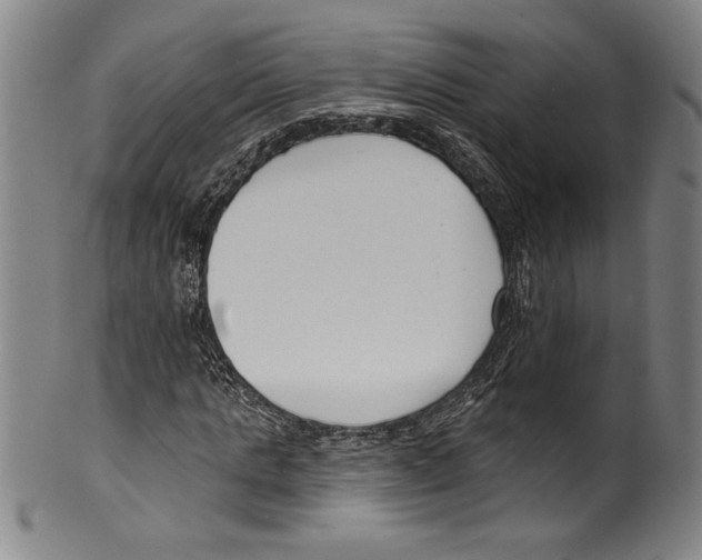 X0000099440821200806061042