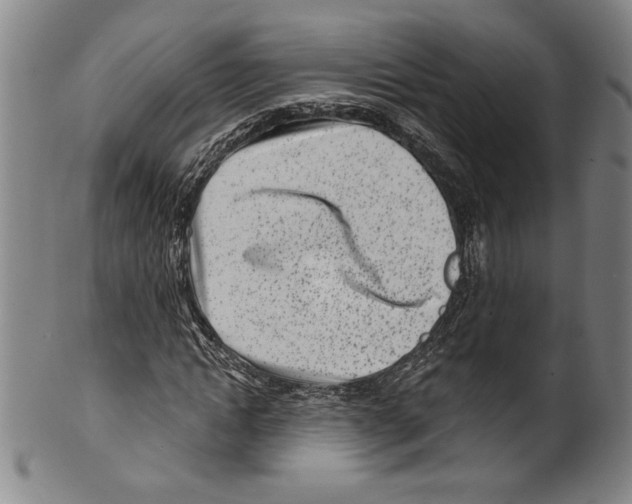 X0000099440822200806061042