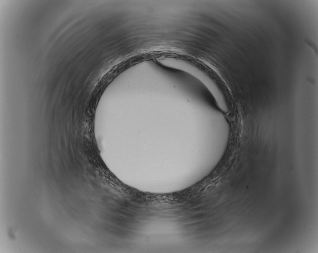 X0000099440823200806061042