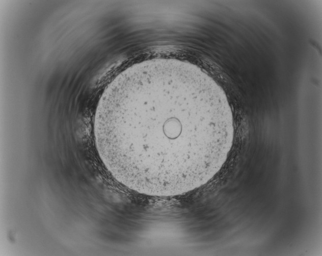 X0000099440824200806061042