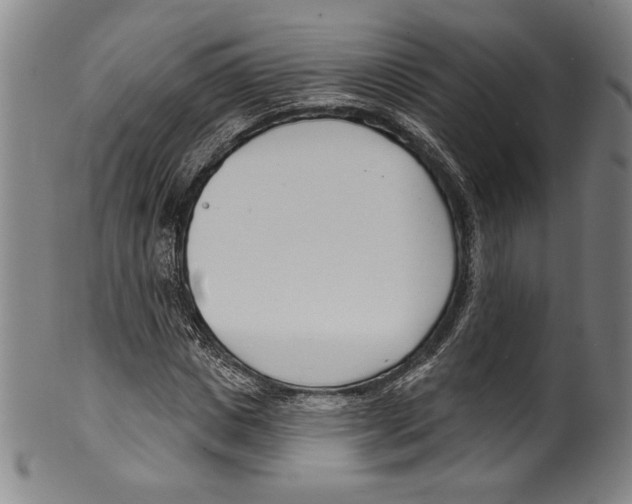 X0000099440825200806061042