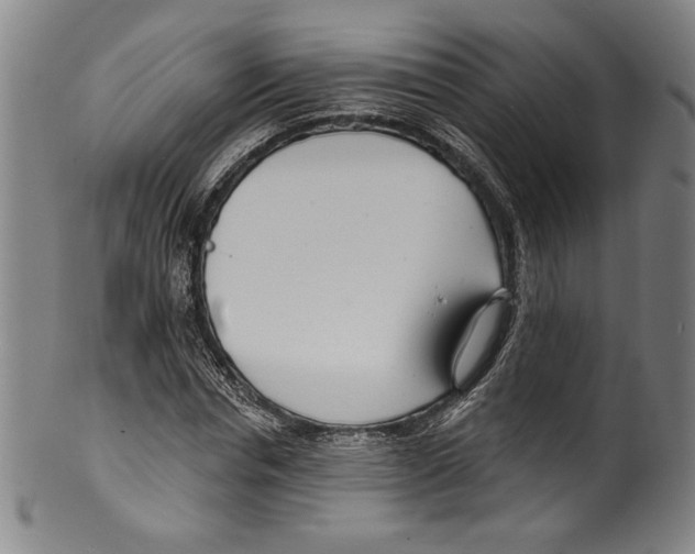 X0000099440826200806061042