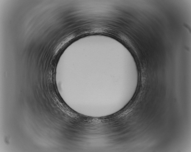 X0000099440827200806061042