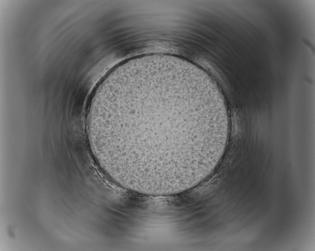 X0000099440828200806061042