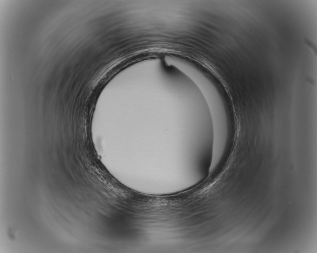 X0000099440829200806061042