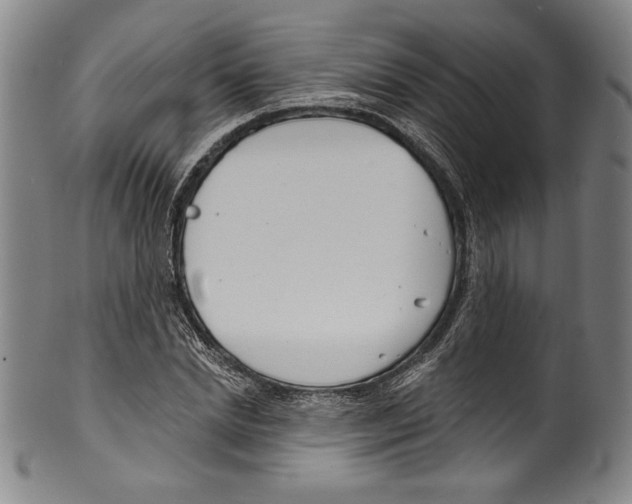 X0000099440830200806061042