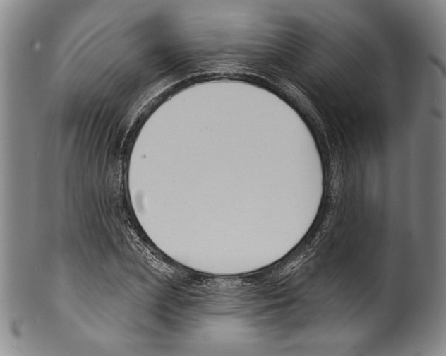 X0000099440831200806061042