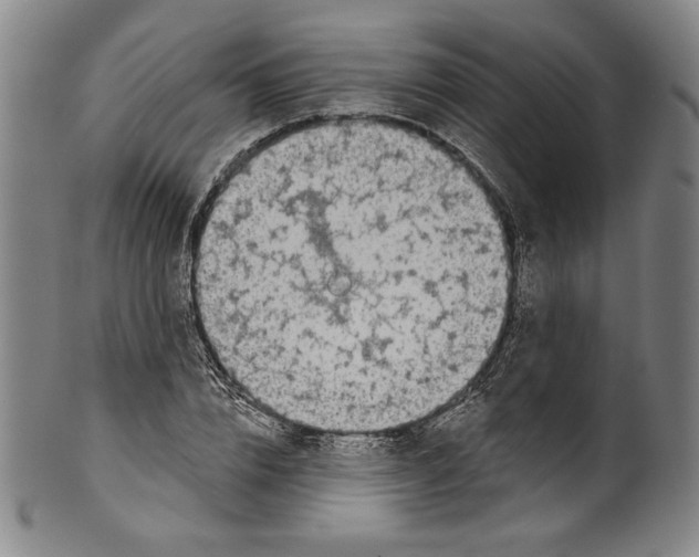 X0000099440832200806061042