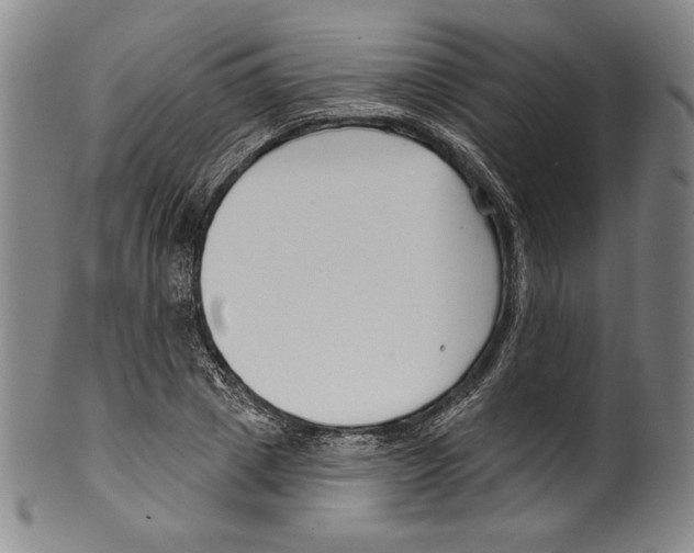 X0000099440833200806061042