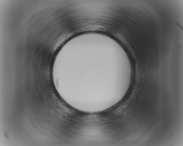 X0000099440834200806061042