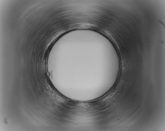 X0000099440835200806061042