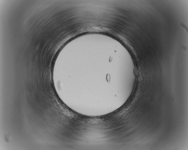 X0000099440837200806061042