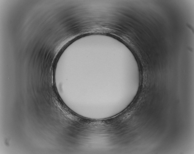 X0000099440838200806061042