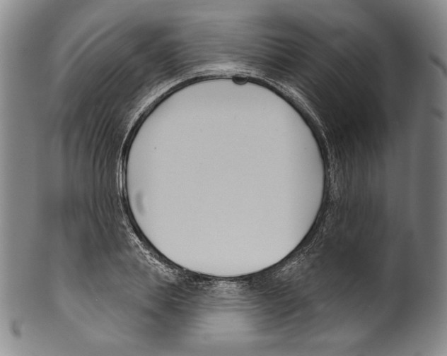 X0000099440839200806061042