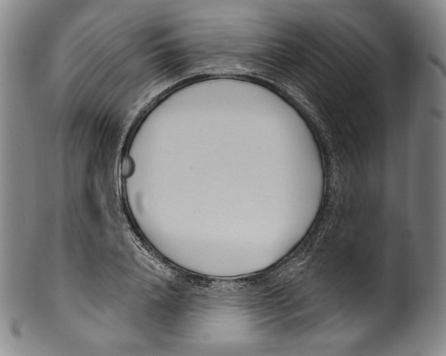 X0000099440840200806061042