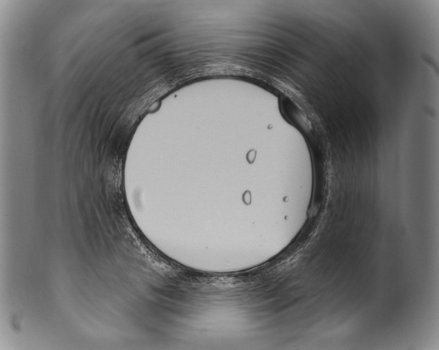 X0000099440841200806061042