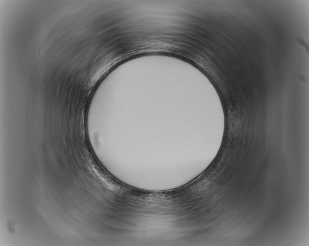 X0000099440842200806061042