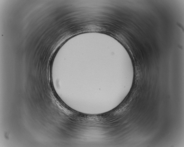 X0000099440843200806061042