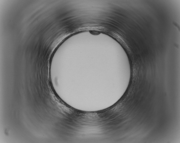 X0000099440844200806061042