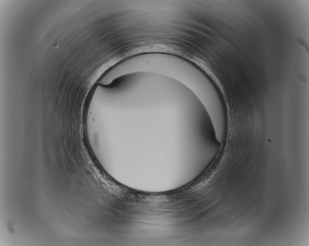 X0000099440845200806061042