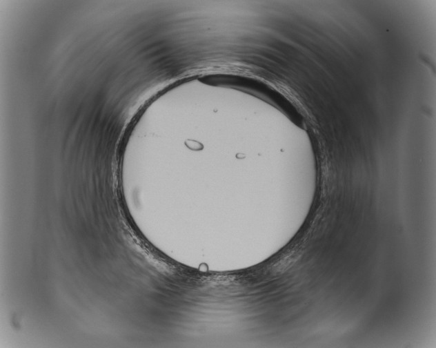 X0000099440846200806061042