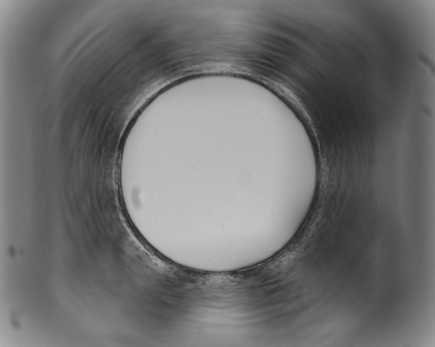 X0000099440847200806061042