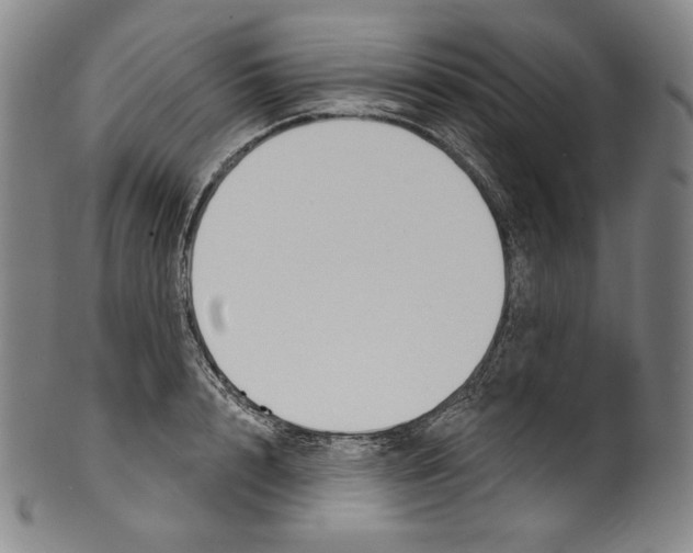 X0000099440848200806061042