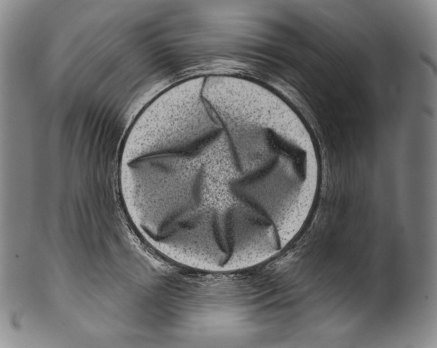 X0000099440850200806061042