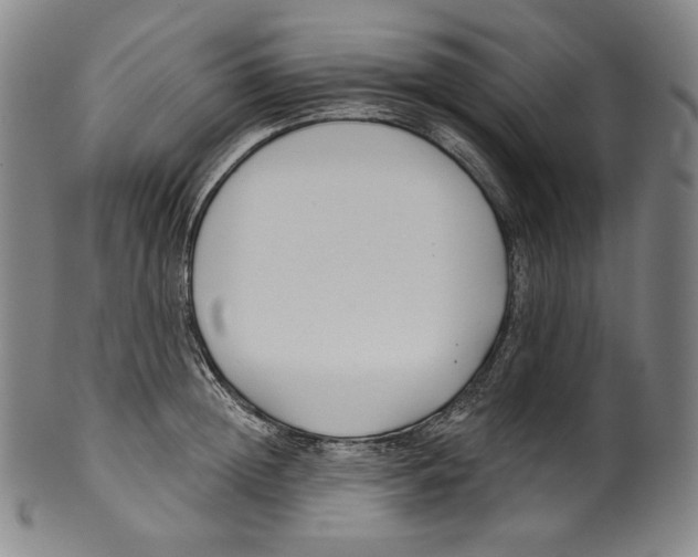 X0000099440852200806061042