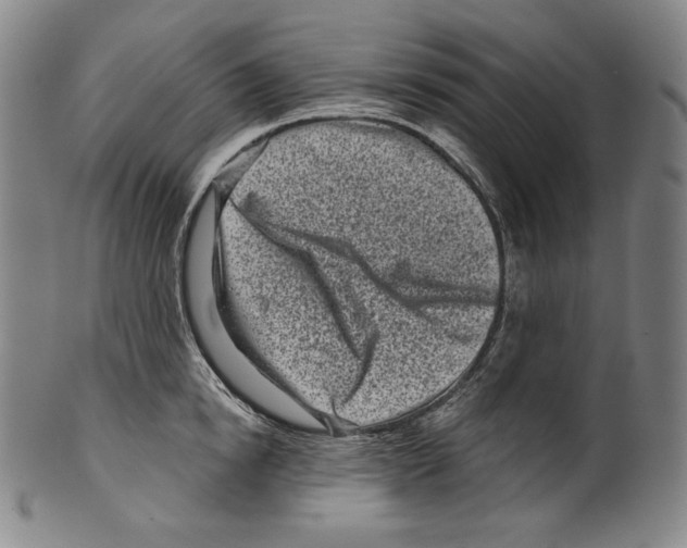 X0000099440854200806061042